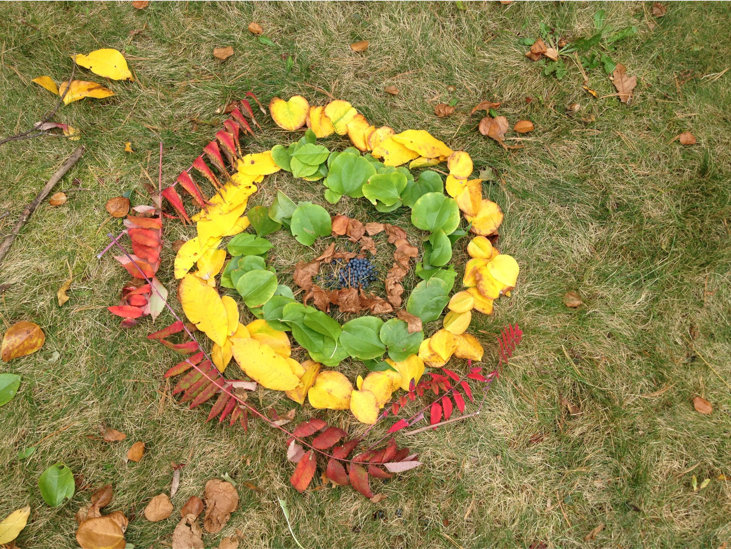 Land Art unit with Sue McCrory
