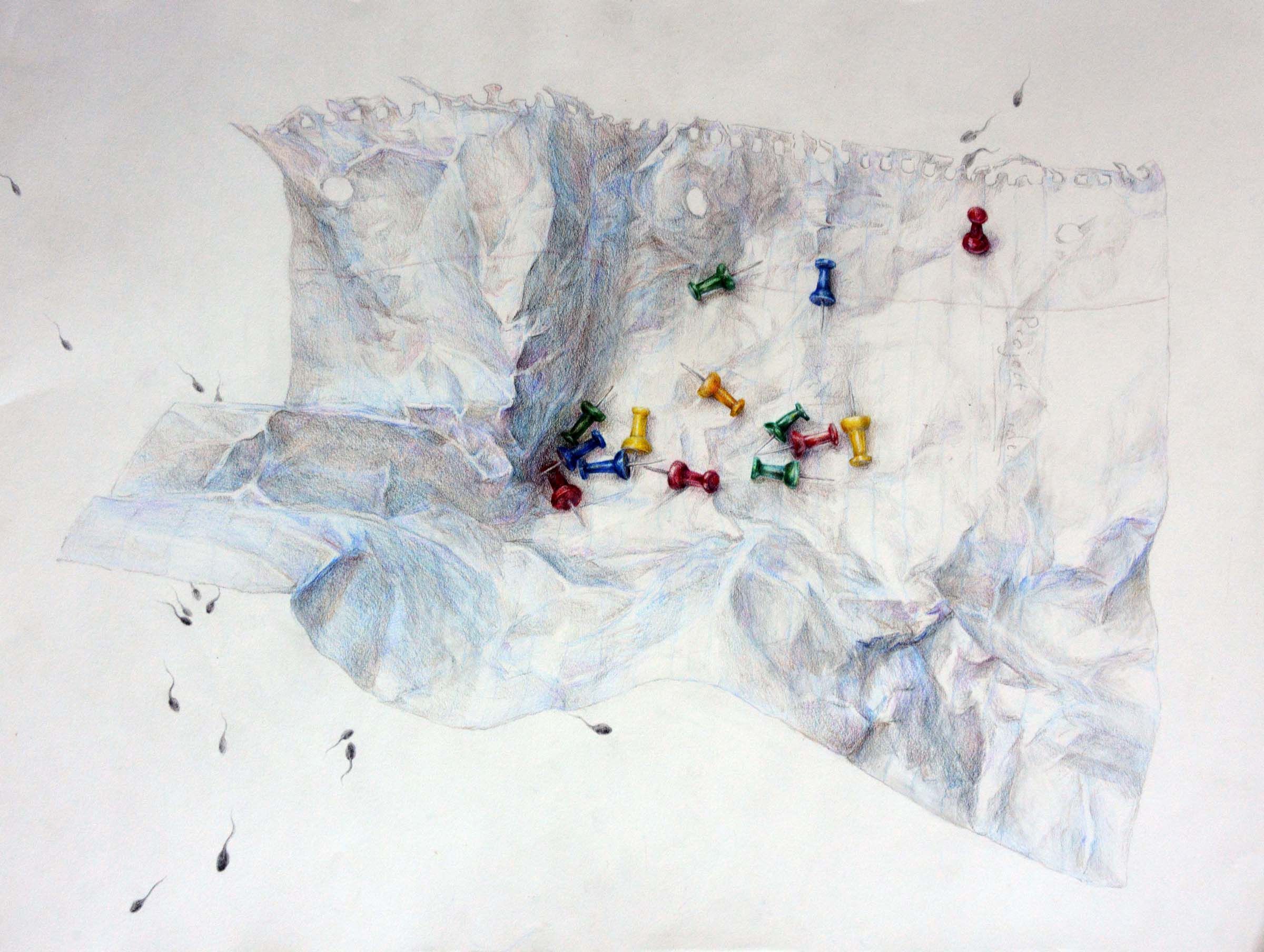 Scholastic Art and Writing awards