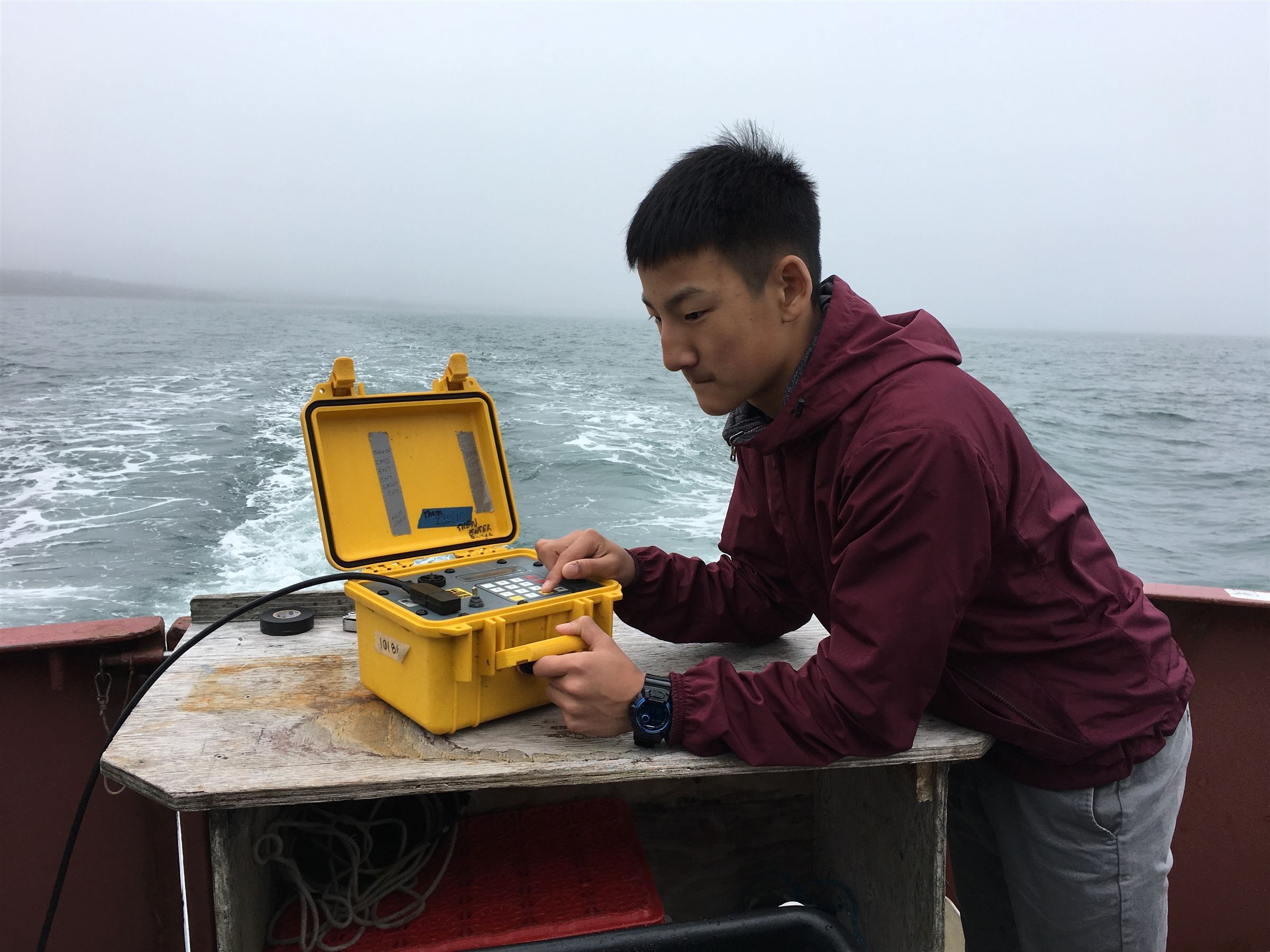 Estuary ecology in the field