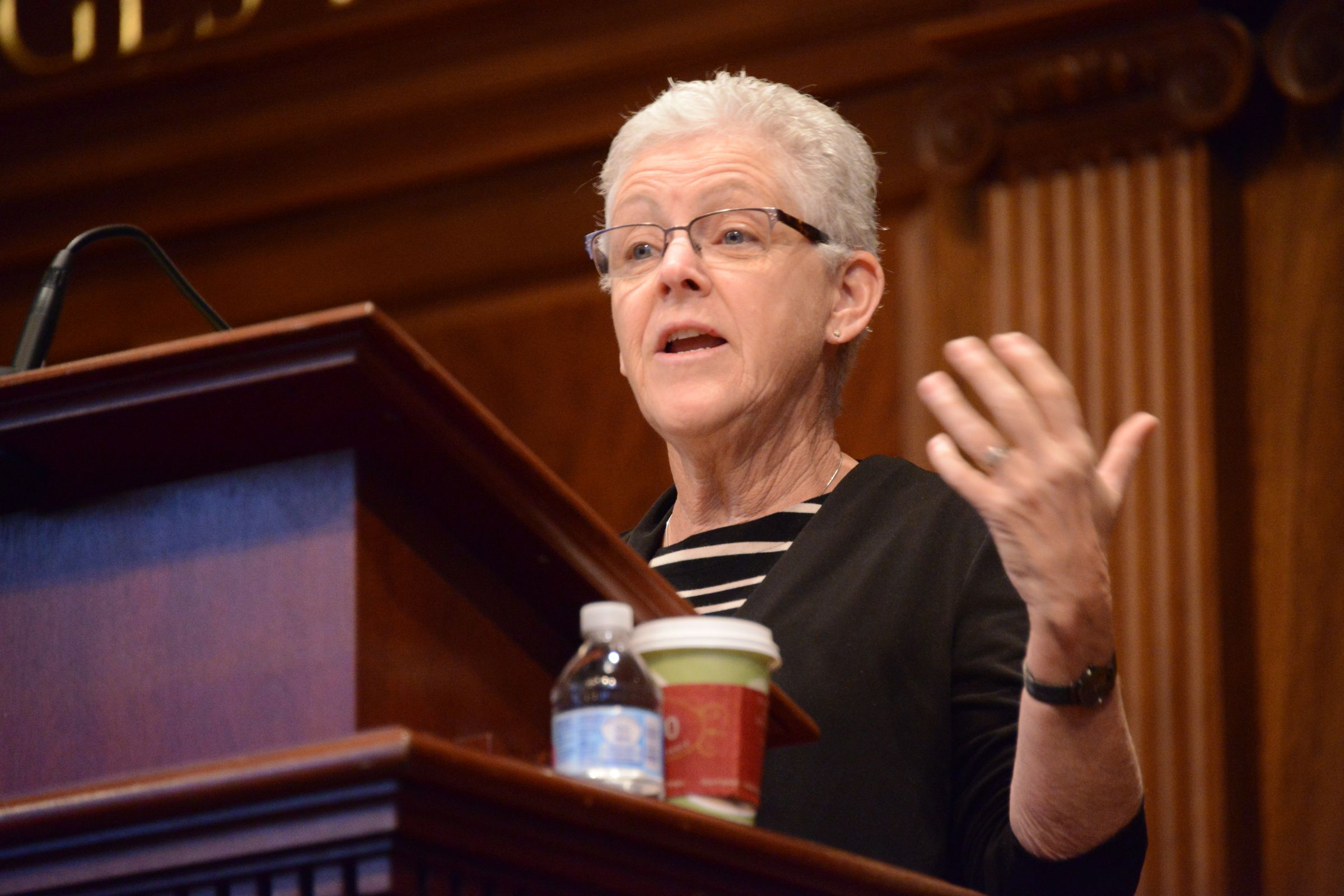 Former EPA head Gina McCarthy: It’s not about polar bears