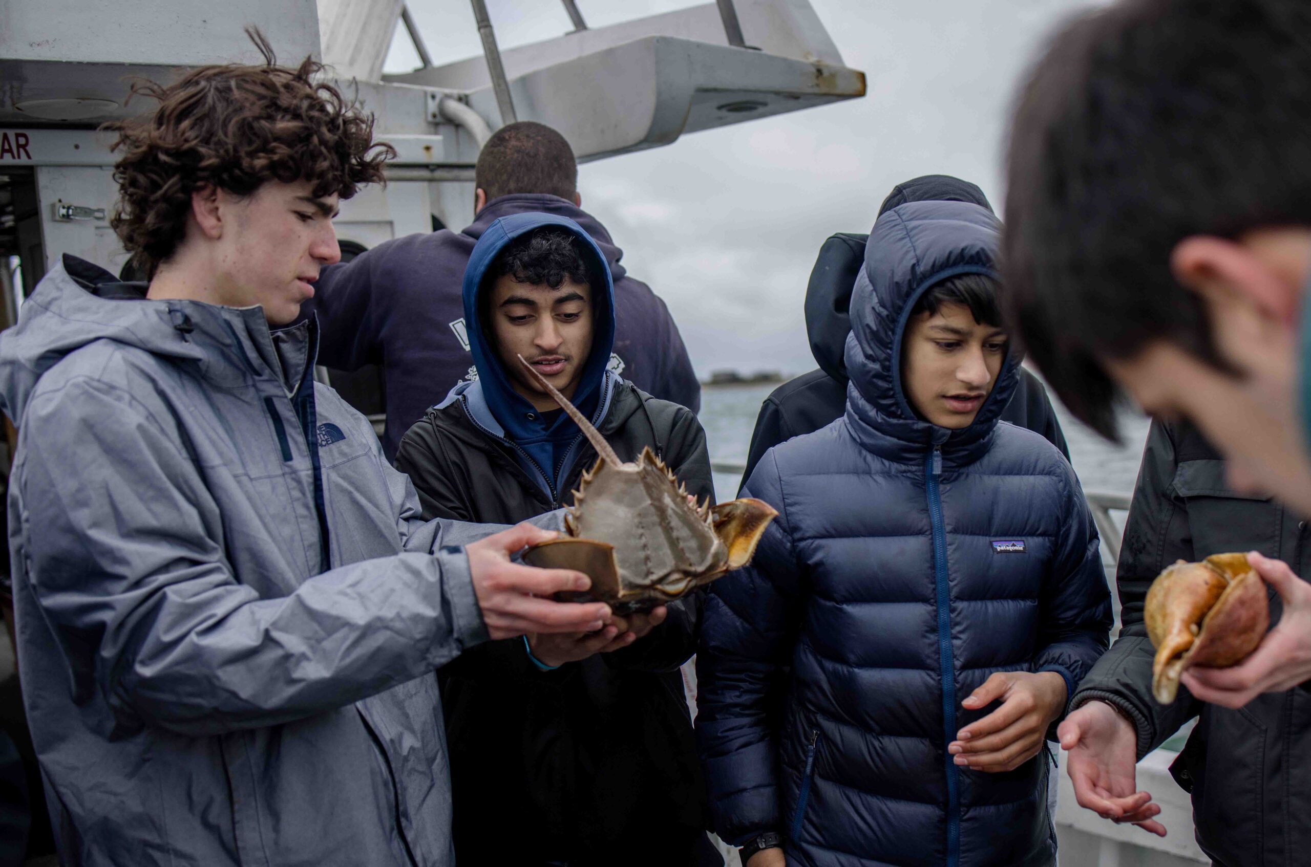 Class V Travels to Woods Hole for Day of Ecological Research